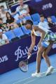 World female Tennis Player Venus Williams
