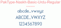 PakType-Naskh-Basic-Urdu-Regular