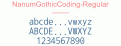 NanumGothicCoding-Regular