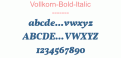 Vollkorn-Bold-Italic