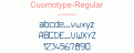 Cuomotype-Regular