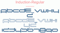 Induction-Regular