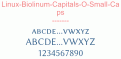 Linux-Biolinum-Capitals-O-Small-Caps