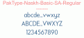 PakType-Naskh-Basic-SA-Regular