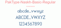 PakType-Naskh-Basic-Regular