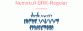 Numskull-BRK-Regular