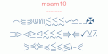 msam10