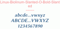 Linux-Biolinum-Slanted-O-Bold-Slanted