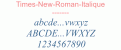 Times-New-Roman-Italique