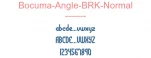 Bocuma-Angle-BRK-Normal