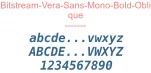 Bitstream-Vera-Sans-Mono-Bold-Oblique