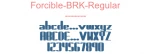 Forcible-BRK-Regular