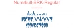 Numskull-BRK-Regular