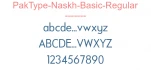 PakType-Naskh-Basic-Regular