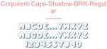 Corpulent-Caps-Shadow-BRK-Regular