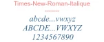 Times-New-Roman-Italique
