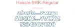 Hassle-BRK-Regular