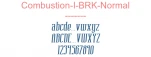 Combustion-I-BRK-Normal