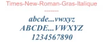 Times-New-Roman-Gras-Italique