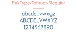 PakType-Tehreer-Regular