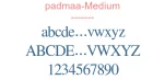 padmaa-Medium
