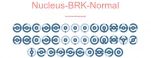 Nucleus-BRK-Normal