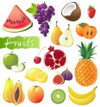 fruits set