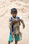 Boy holding sloth