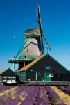 windmill in holland