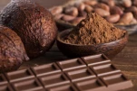 Cocoa pod and chocolate bar and food dessert background