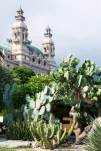 cactuses and Casino de Monte-Carlo in Monaco