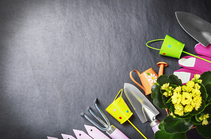 Gardening tools on a black background