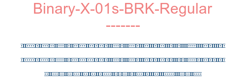 Binary-X-01s-BRK-Regular