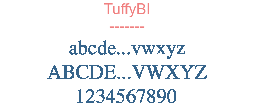 TuffyBI