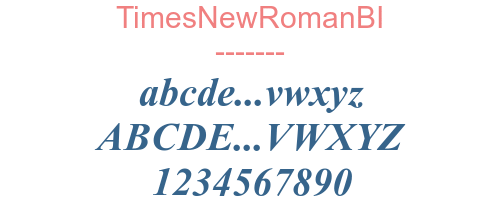 TimesNewRomanBI