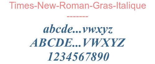 Times-New-Roman-Gras-Italique