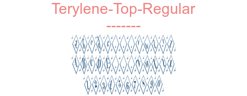 Terylene-Top-Regular